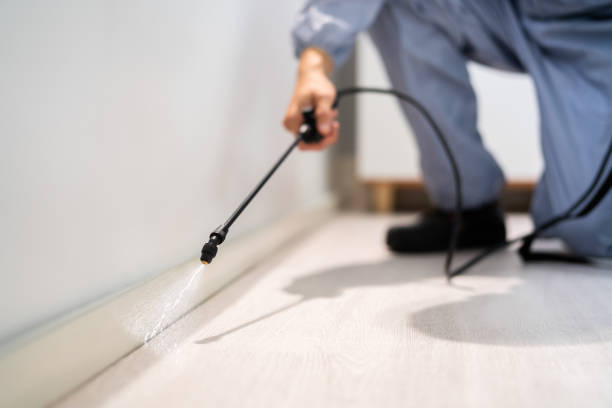 Licensed Termite Control service in Ontario County County, NY - Nex Pest Control