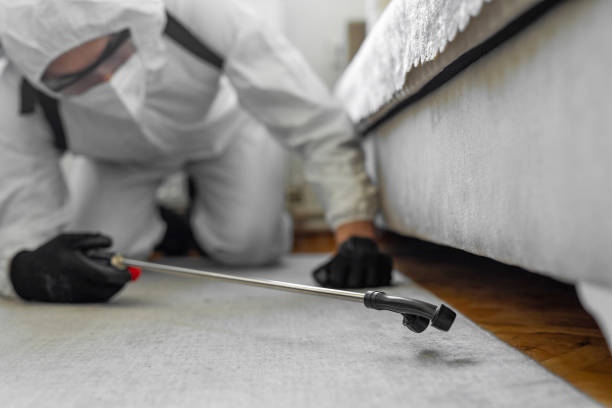 Professional Termite Control technician working in Ontario County County, NY